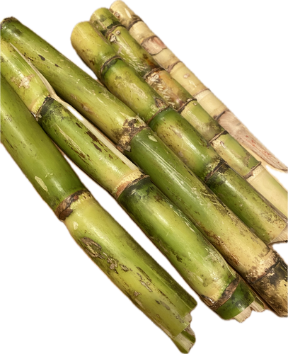 Fresh Sugarcane