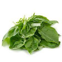 Load image into Gallery viewer, Fresh Basil