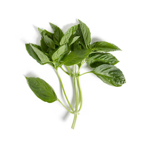 Fresh Basil