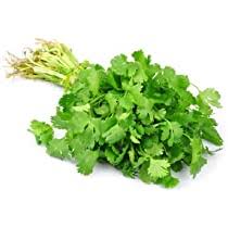 Fresh Cilantro