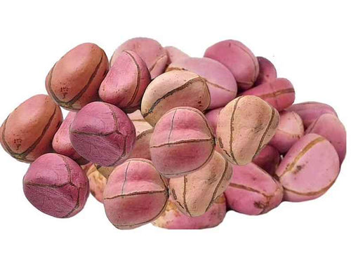 Kola Nut