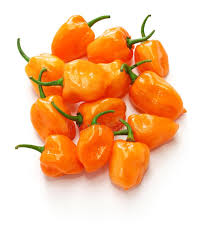 Orange Habaneros