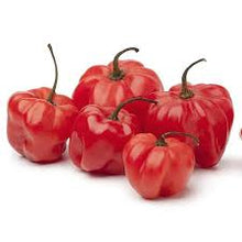 Load image into Gallery viewer, Red Habanero