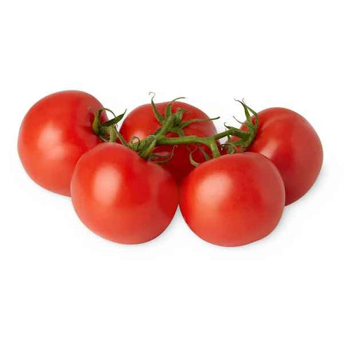 Campari Tomatoes