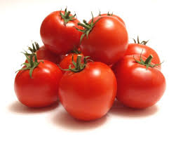 Campari Tomatoes