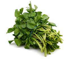 Fresh Watercress