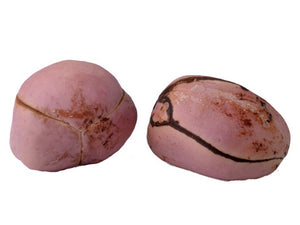 Kola Nut