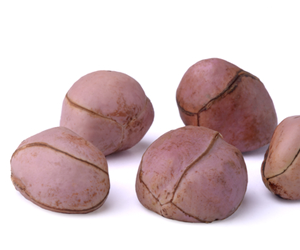 Kola Nut